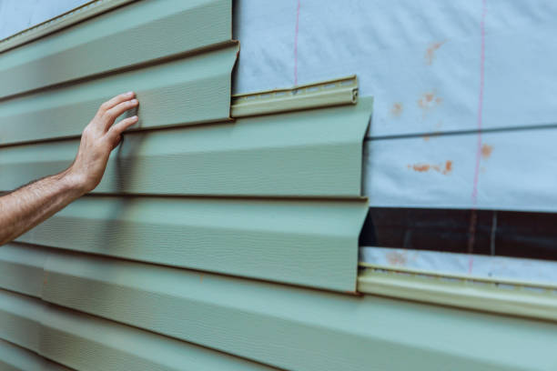 Best Custom Siding Design  in Williams, AZ